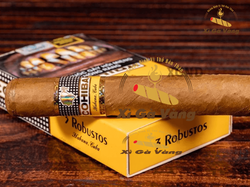 Xì Gà Vàng - địa chỉ bán cigar uy tín tại Việt Nam